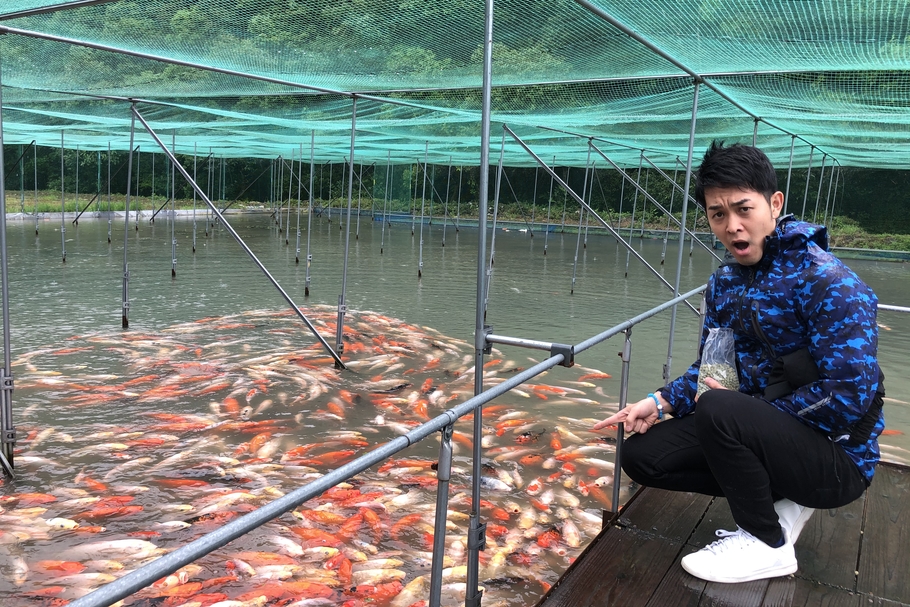 煌めき15