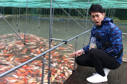 煌めき15