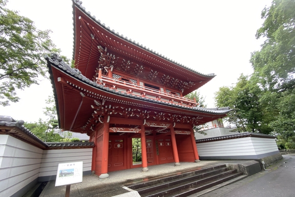 煌めき19