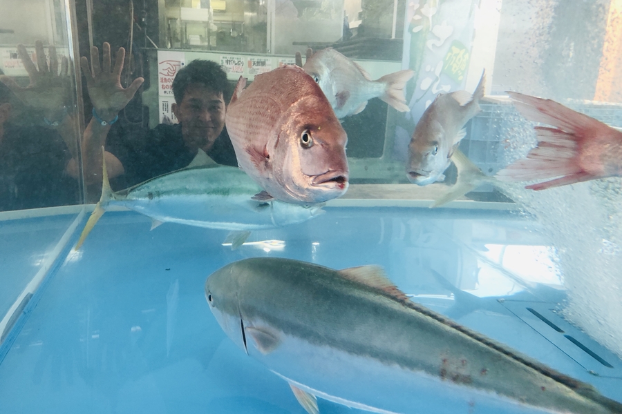 第20回 | 徳島のトヨタ販売店/ネッツトヨタ徳島