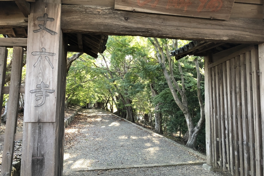 kirameki_1113_01