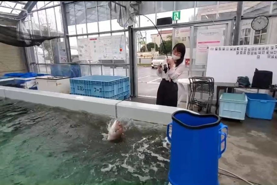 煌めき