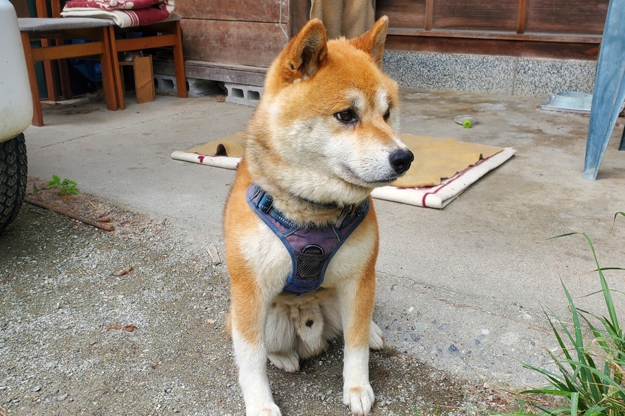 < kirameki_20210625_09 >