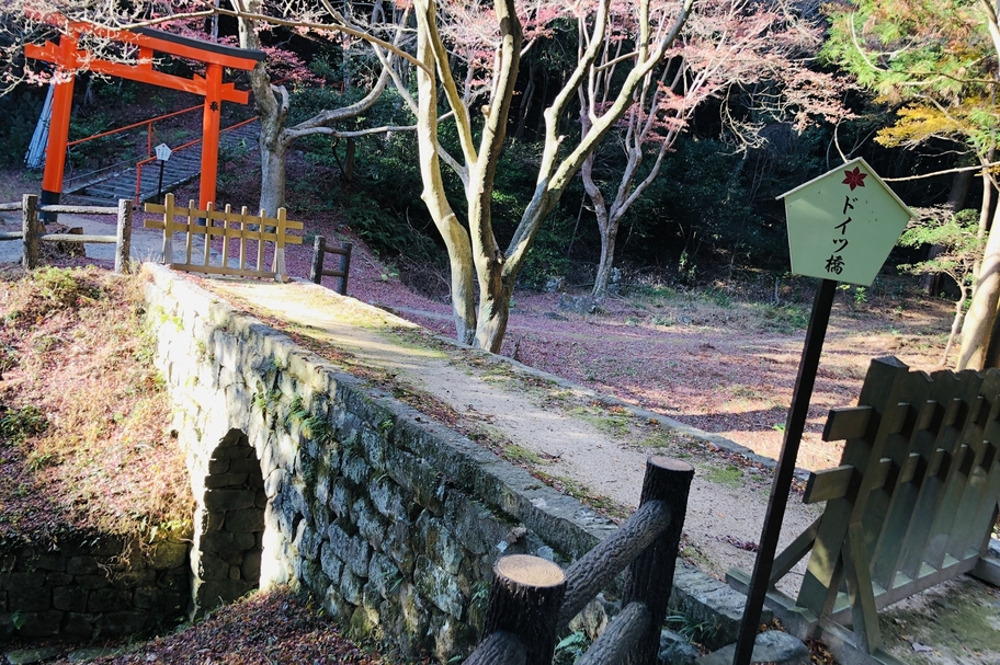 kirameki_20211224_06