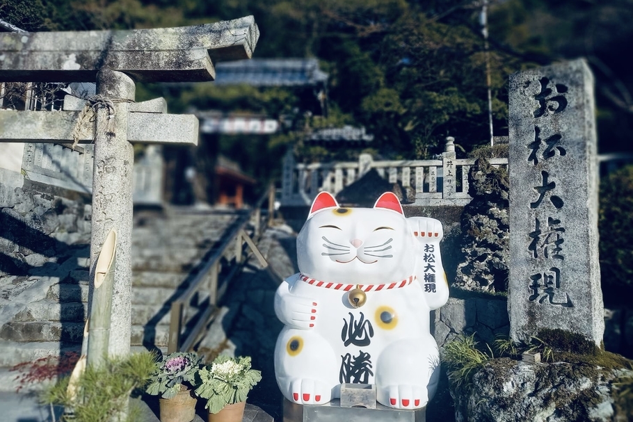 kirameki_20220107_13