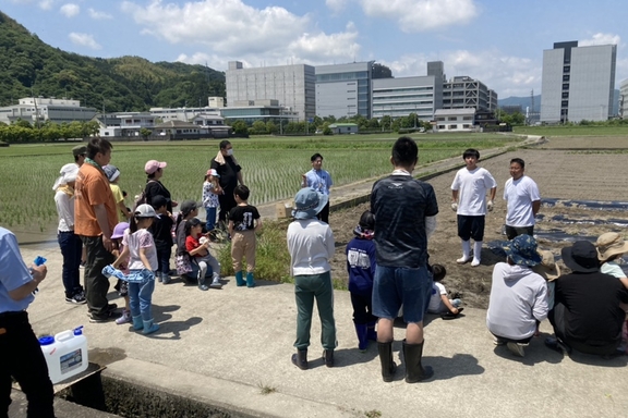 さつまいも