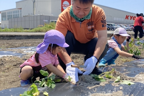 さつまいも