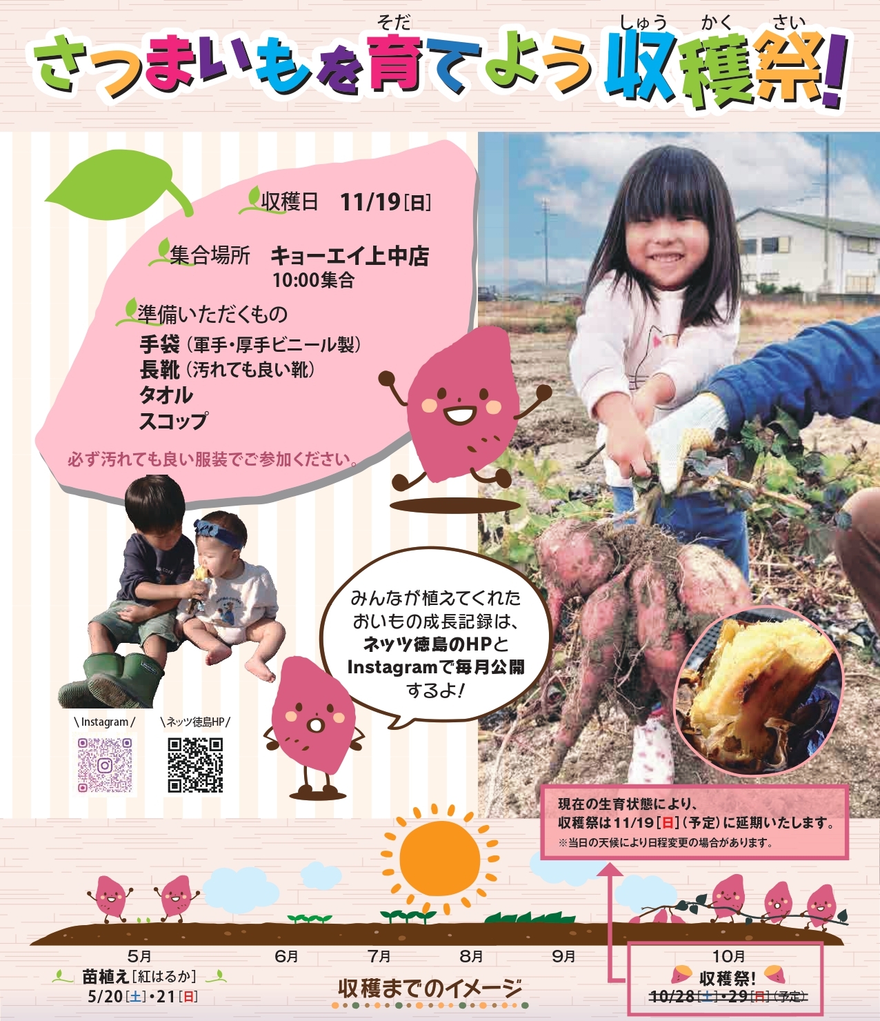 さつまいも | 徳島のトヨタ販売店/ネッツトヨタ徳島
