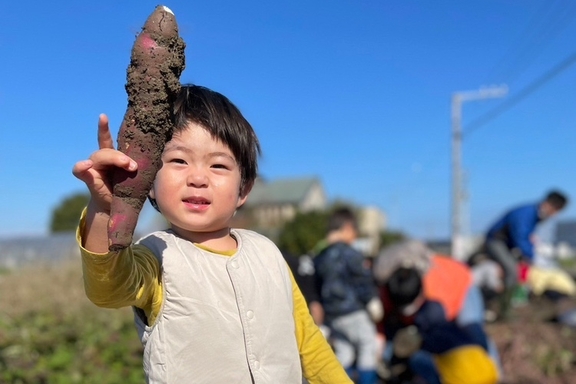 さつまいも