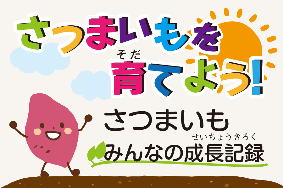 さつまいも