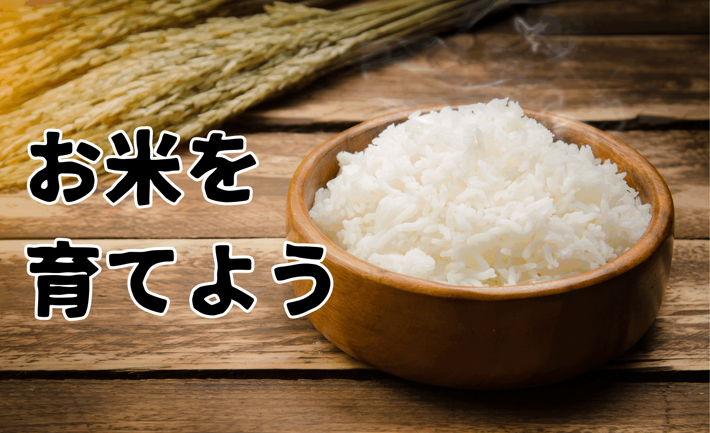 CD 米米クラブ 17枚セットコメディア SUNRICE,PUSHED RICE SUNRICE