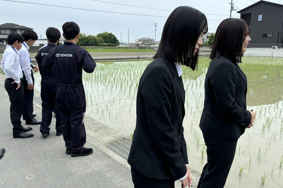 お米2025