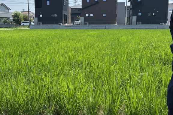 お米