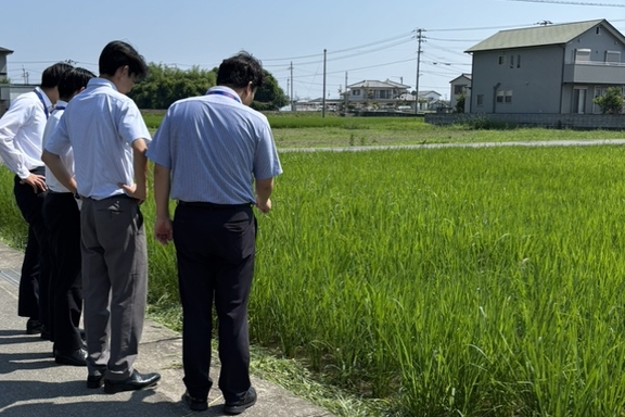 お米