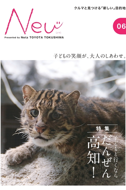 Neu（ノイ） | 徳島のトヨタ販売店/ネッツトヨタ徳島