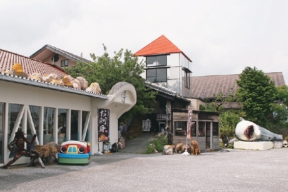 Neu6