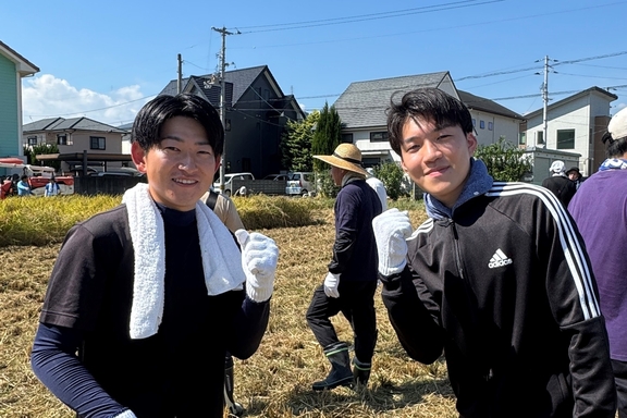 稲刈り