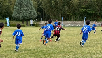 2026ネッツカップ