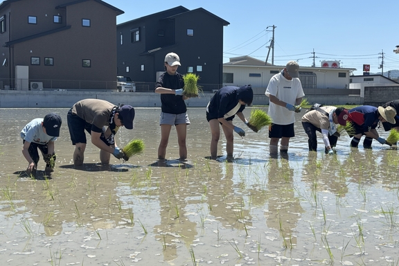 田植え2026