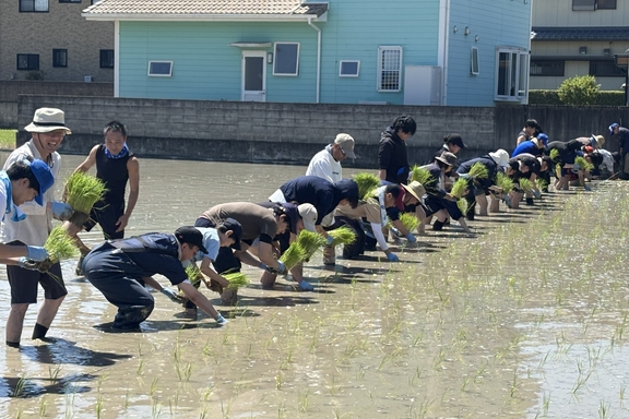 田植え2026