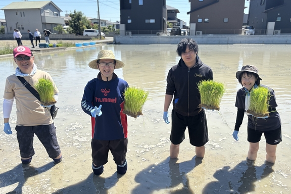 田植え2026