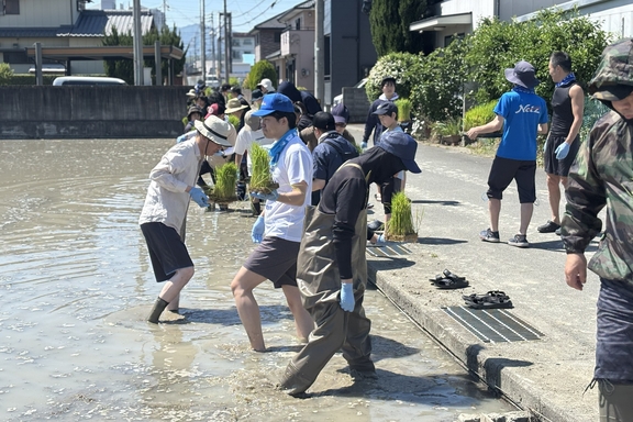 田植え2026