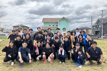 稲刈り2026